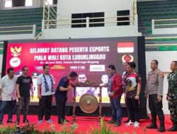 Ketum Esport Sumsel Apresiasi Turnament Esport di Lubuklinggau