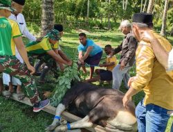 Satgas Yonarmed 1 Kostrad Ramaikan Perayaan Idul Adha di Daerah Penugasan