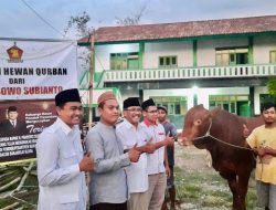 Prabowo Subianto Salurkan Sapi Qurban ke Ponpes dan Tokoh Agama