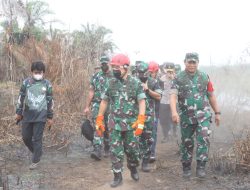 Kasad Tinjau dan Apresiasi Penanganan Karhutla di Jambi