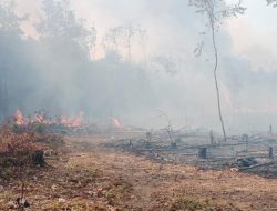 Kemarau dan Karhutla, PHR Regional Sumatera Zona 4 Berhasil Padamkan 51 Titik Api