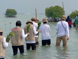 Insan PetroChina Donasi 5.000 Mangrove di Kepulauan Seribu