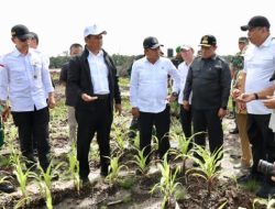 Berkunjung ke Palangka Raya, Wamenhan M. Herindra Tinjau Lokasi Food Estate