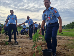 Dukung Energi Biomassa Lanud Sutan Sjahrir Padang Tanam Kaliandra