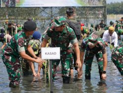 TNI AD Tanam Puluhan Ribu Bibit Mangrove di Aceh