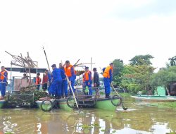 Pelestarian Lingkungan, Ditpolairud Polda Jambi Lepas 20.000 Bibit Ikan di Danau Sipin