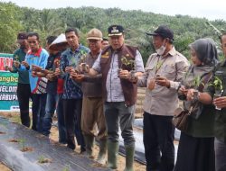 Pj Bupati Merangin Canangkan Gerakan Tanam Cabe  di Desa Banuang Pamenang Selatan