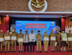 Penuhi Standard Layanan Publik, Gubernur Jambi H Al Haris Terima Penghargaan dari Ombudsman RI