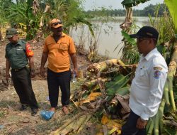 Banjir Tak Surut Surut, Ratusan Hektar Sawah Milik Petani Gagal Panen