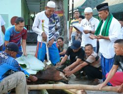 Peringati Idul Adha 1445 H, Korem 081/DSJ Salurkan Daging Kuban