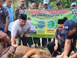 BKPRMI dan Jamiyah Singapore Sebar 1.000 Hewan Qurban di Indonesia