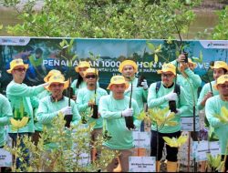 Peringati Hari Lingkungan Hidup Sedunia, Grup PHI Tanam 1.200 Bibit Mangrove di Wilayah Kaltim