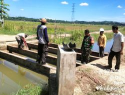 Kodim 0104/Aceh Timur Rehab Jembatan, Lancarkan Akses Pertanian di Beusa Seberang