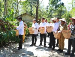 Tinjau Perkebunan Kopi di Lampung, Begini Kata Presiden RI Joko Widodo Langkah Pemerintah untuk  Petani