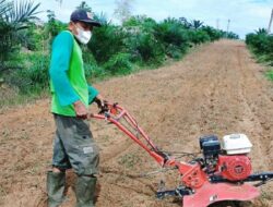 Ketua Kelompok Tani Binaan Pertamina EP Jambi Jadi Petani Berprestasi Kabupaten Batanghari