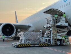 Garuda Perluas Pangsa Pasar Kargo Internasional