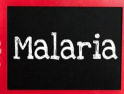 Masih Peringkat Kedua Tertinggi di Asia, Pemerintah Targetkan Indonesia Bebas Malaria pada 2030