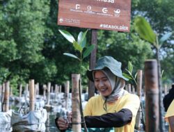 Menyambut Usia 55 Tahun Elnusa: Perkuat Komitmen Keberlanjutan Lingkungan dengan Program Green Action Mangrove Conservation