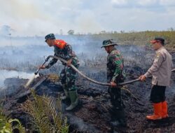 Danrem 042/Gapu Turun Langsung Padamkan Kebakaran di Areal Hutan Lahan Gambut (HLG) Desa Rantau Panjang