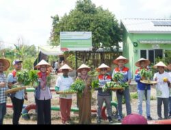 Pengelolaan Air Berbasis Energi Surya: Pertamina Bantu Atasi Tantangan Pertanian Desa Pulau Semambu