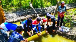 Komitmen Net Zero Emission: Pertamina Implementasikan Silvofishery di Kawasan Mangrove Pesisir Pangkal Babu