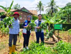 Transformasi Hijau Pertamina: Lahan Bekas Galian Jadi Sumber Pangan dan Produk UMKM