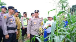 Dukung Program Asta Cita Presiden RI, Wakapolda Jambi Lakukan Penanaman Bibit Jagung 