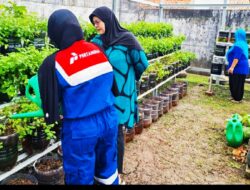 Greenhouse UMKM SUTRA: Komitmen Pertamina Wujudkan Ketahanan Pangan dan Pelestarian Lingkungan