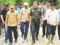 Pj Bupati Merangin Monev Pelaksanaan Fisik DAK 2024, Di Desa Lubuk Bumbun Kecamatan  Margo Tabir