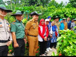 Kembali Raih Penghargaan, Komitmen Nyata Pertamina Berperan Aktif dalam Mitigasi Perubahan Iklim