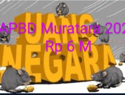 Anggaran Rp 6 Milyar Lebih Honor Non ASN PKM dan RSUD Muratara Diduga Ajang Bancaian.