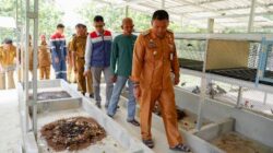 Pertamina Dirikan Rumah Maggot Pertama di Pangkalpinang sebagai Inovasi Lingkungan Berkelanjutan