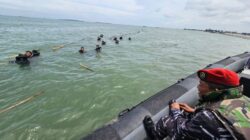 Prof. Hiro Taime:  TNI-AL Cabut Pagar Laut, Langgar Aturan Harus Ditindak Tegas