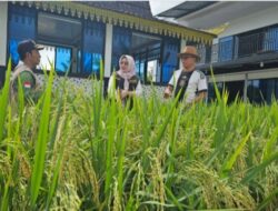 Bendahara PWI Kepri Buktikan Pers Dukung Ketahanan Pangan Nasional