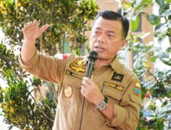 Gubernur Al Haris Panen Perdana Melon Premium di Tanjung Jabung Timur