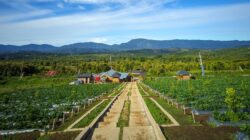 PARIWISATA DAN DAERAH PEDESAAN DI PROVINSI JAMBI