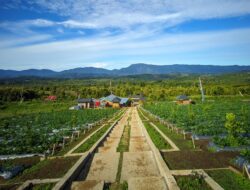 PARIWISATA DAN DAERAH PEDESAAN DI PROVINSI JAMBI