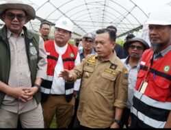 Gubernur Al Haris Dampingi Wamen Sulaiman Kunjungi PT. WKS dan Manggala Agni