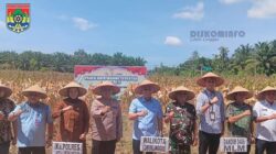 Wali Kota Lubuk Linggau Panen Raya Jagung Kuartal II Dukung Swasembada Pangan 2025