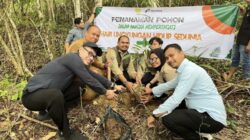 HLH Sedunia 2025, PHR Zona 1 Tanam 4.000 Pohon di Lima Provinsi