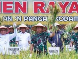 Panglima TNI Panen Raya Padi di Lahan Ketahanan Padi Kodam I/BB di Deli Serdang